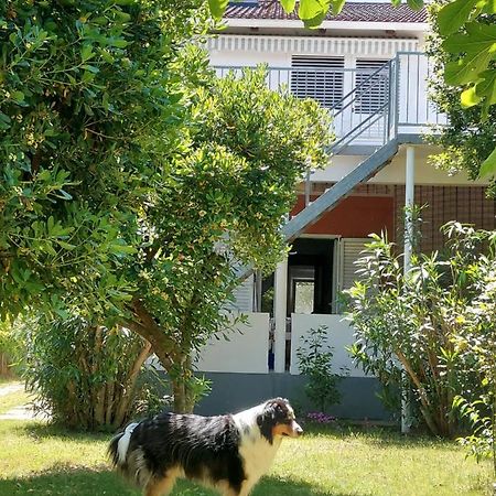 Appartamento .....Und Der Hund Darf Mit Privlaka  Esterno foto