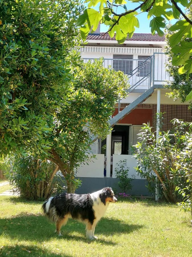 Appartamento .....Und Der Hund Darf Mit Privlaka  Esterno foto